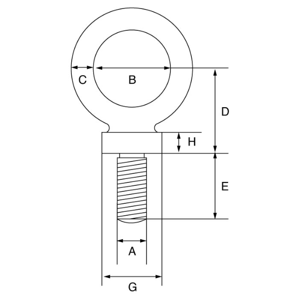 Picture of GT Lifting EBDM Dynamo Eyebolts Metric Thread